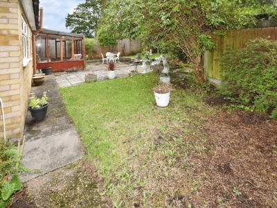 Picture 14